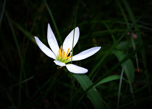 延伸问题：阴天拍不出通透感怎么办？