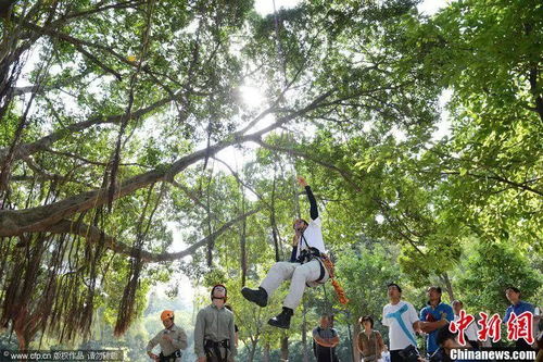 厦门大学植物系实验揭秘：清明谷雨移植大不同