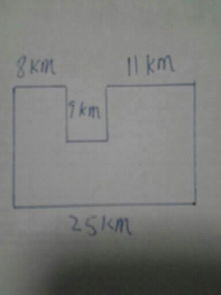 榆树种子种植面积揭秘：新手必kan实测数据！