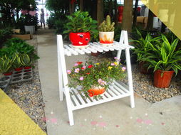 先说说 花卉摆放是一门艺术