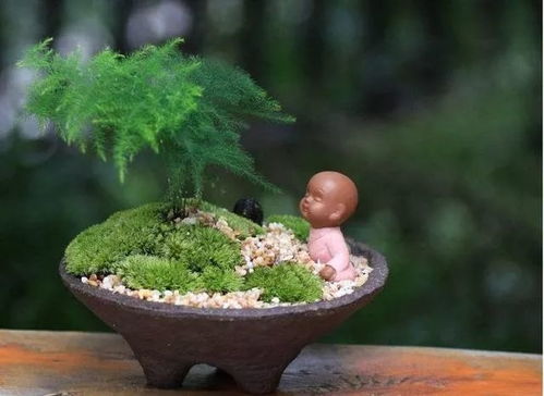 施肥， 竹子的营养需求