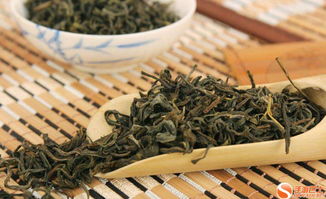 揭秘茶叶种植秘籍：如何种出顶级茶油？