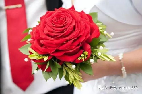 情人节特供：99朵玫瑰， 浪漫满溢