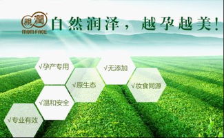 芦荟养护，让你的植物活力四射！