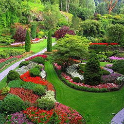 植物选材要综合考虑