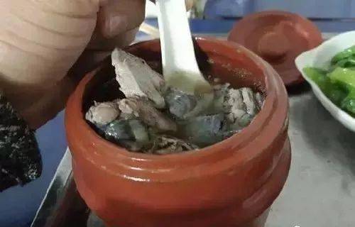 冬天雪后种什么青菜最好？