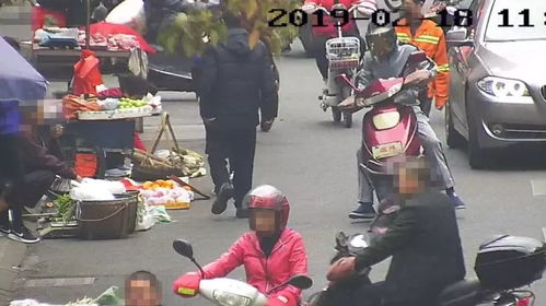 打农药相关法规与责任