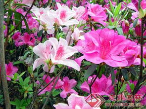 选择合适的地儿