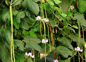 一、 空间利用，充分利用每一寸土地