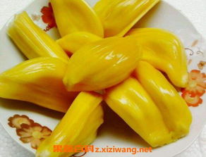 菠萝蜜是凉性还是热性？一篇文章揭秘