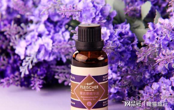 薰衣草精油如何使用？新手也能轻松学会