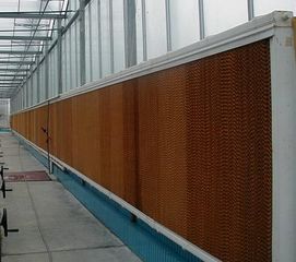 猪舍温度超过多少度，建议开水帘降温