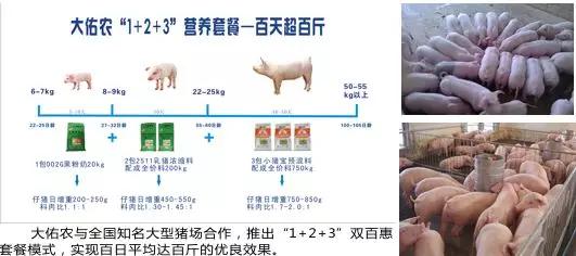 大佑农饲料效果如何？养殖难题如何通过选购和使用大佑农饲料全解析解决？