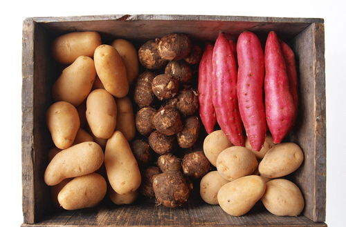 黄芪、锁阳蛋白质含量超过哪些日常食物？其隐藏营养， 科学搭配指南