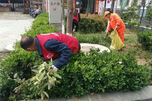 绿化带杂草清理， 农药的选择与环保考量
