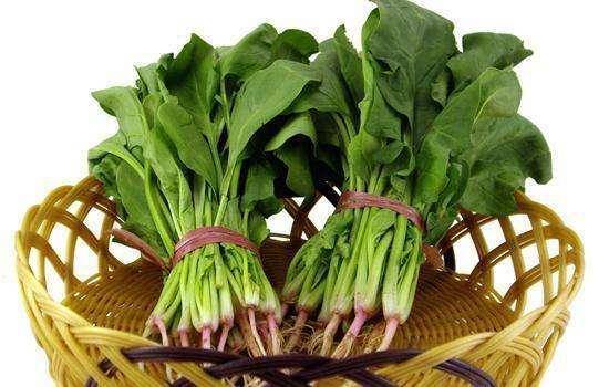 春季吃菠菜，养生保健