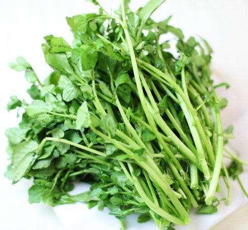 西洋菜在什么季节种植最适宜？采用哪种种植方法效果最佳