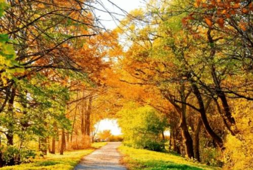 河边那些花花绿绿，你分得清吗？