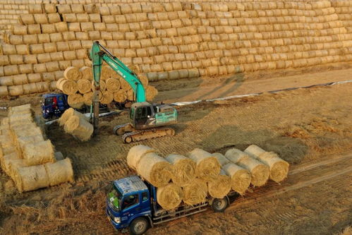 秋后秸秆中的除草剂残留量问题探讨