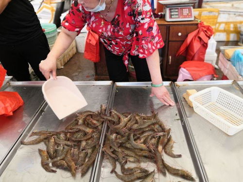 梭子蟹秋季黄多，捕捞旺季