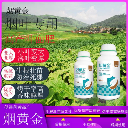 品质至上， 价格透明