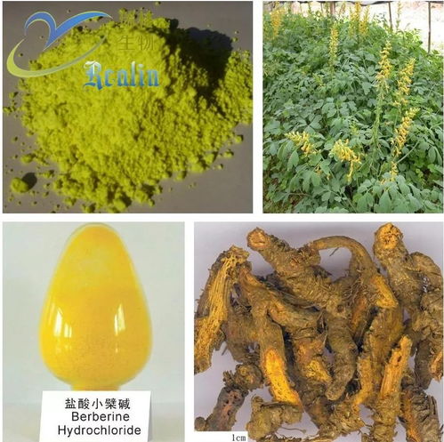 多菌灵：神奇农药， 防治作物病害的得力助手