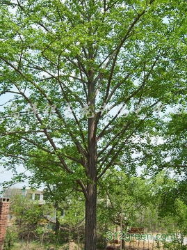 规格大小， 影响价格高低