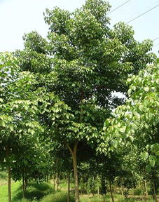 第一步：打开神秘的大门