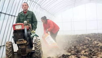 土壤封闭，事半功倍