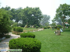 园林植物配置的奥秘