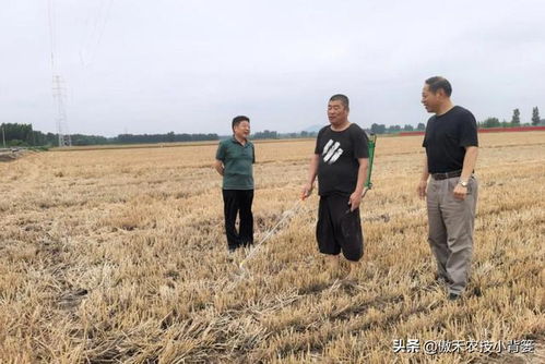 土壤墒情对除草效果影响大
