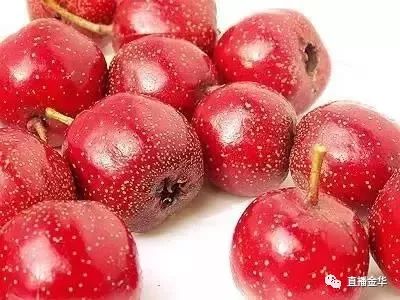 一点红功效揭秘，它能活血化瘀吗