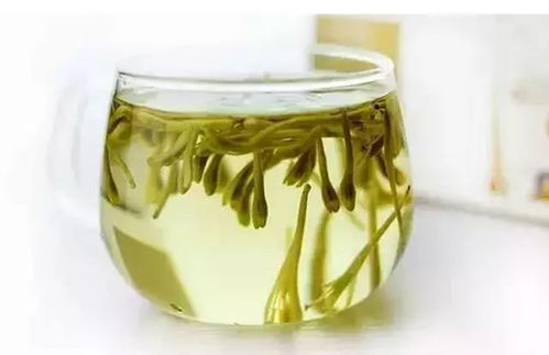 金银花茶虽好，喝之前你了解它的禁忌吗