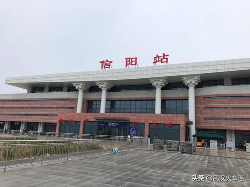 河南新乡附近有哪些知名的大型饲料厂？