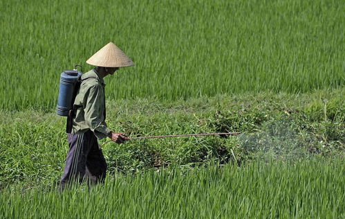 中毒危机：农药不只是皮肤问题那么简单