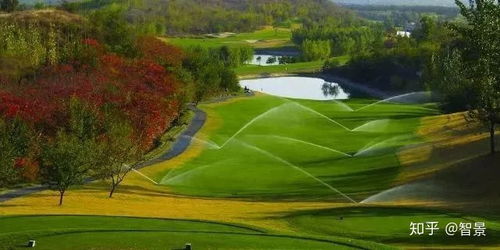 选对地域适配草种， 剪草机燃油费直降30%