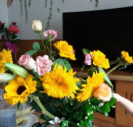 盛夏花园：绚烂的秘密