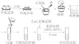 代谢速度分级表