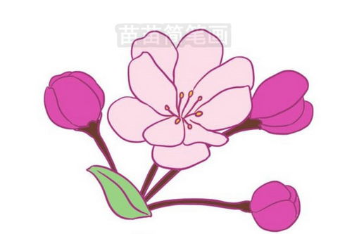 海棠叶子简笔画入门教程