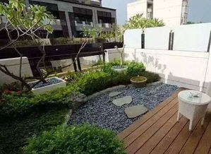 低矮植物的多样用途