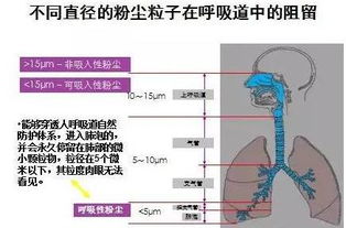 粉尘：那些看不见的杀手