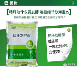 玉米秸发酵杆饲料的营养成分如何，对牲畜的生长发育有哪些具体影响？