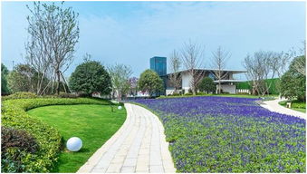 水景工程：小桥流水， 风景如画