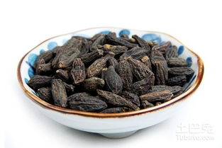 杜仲的适宜人群