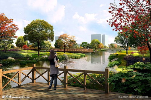 园林景致，诗意盎然