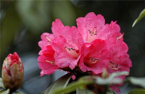 室外养殖与室内养殖的区别