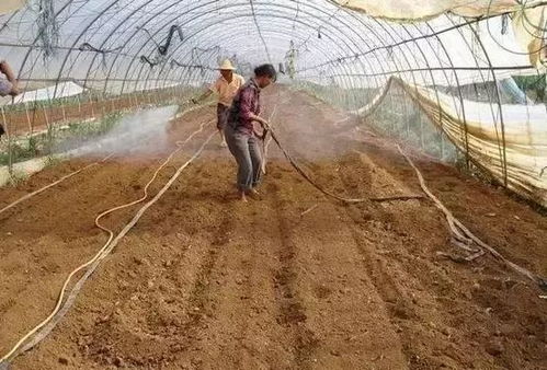 轮作，土壤的“呼吸”