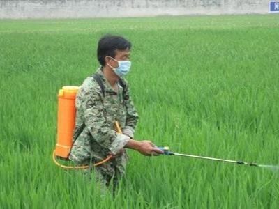 选择农药，这事儿得讲究