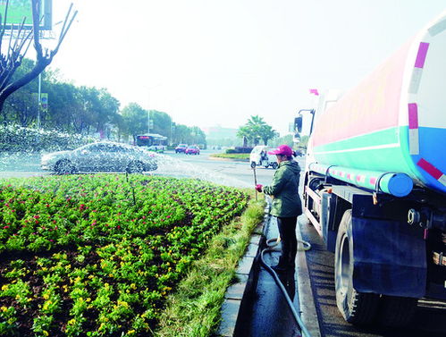 北方冬天养花， 八种耐寒花草的冬季养护小贴士