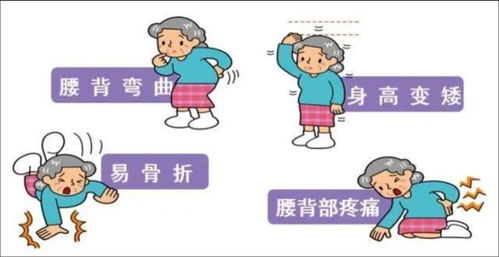 如何正确且方便地喂猪，确保营养均衡和健康？